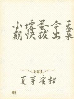 小坏蛋今天危险期快拔出来