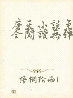 唐天小说免费大全阅读无弹窗