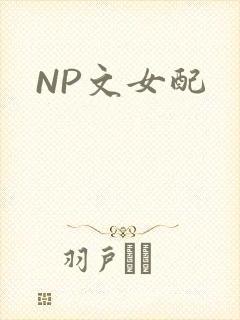 NP文女配