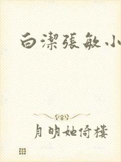 白洁张敏小说