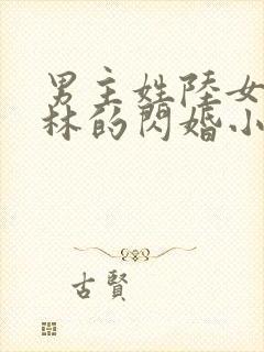 男主姓陆女主姓林的闪婚小说