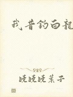 我昔钓白龙封面