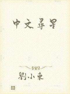 中文寻星