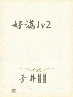 好满1v2封面