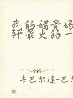 我的媚骨妈妈林轩最火的一句封面