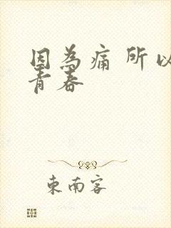 因为痛 所以叫青春