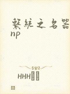 系统之名器攻略np