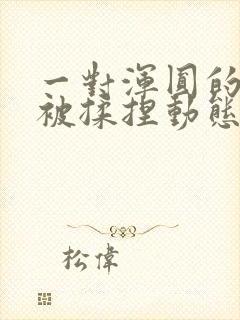 一对浑圆的胸乳被揉捏动态图封面