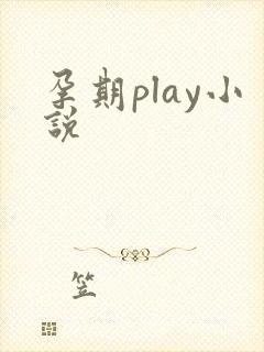 孕期play小说