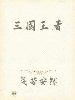 三国王者