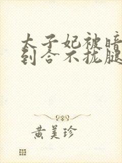 太子妃被暗卫C到合不拢腿