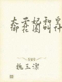 太子妃和皇帝在御花园叫什么小说