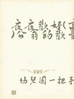 夜夜欢好(高h)公翁的欢爱h封面