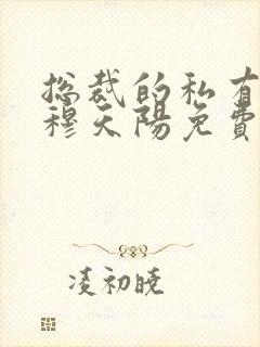 总裁的私有宝贝穆天阳免费