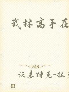 武林高手在异界