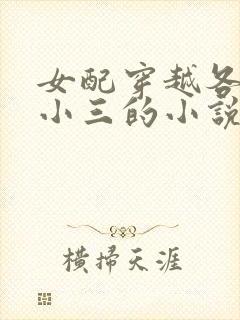 女配穿越各个做小三的小说封面