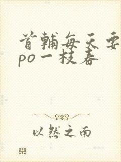 首辅每天要不够po一枝春封面