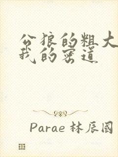 公狼的粗大挺进我的密道