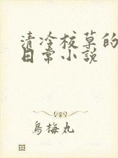 清冷校草的堕落日常小说