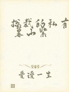 总裁的私有宝贝 暮山紫