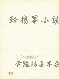 干杨幂小说封面