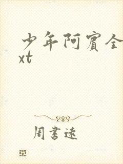 少年阿宾全集txt封面