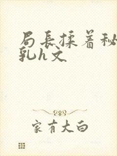 局长揉着秘书的乳h文封面