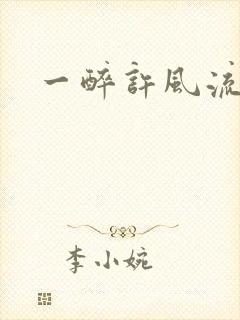 一醉许风流封面