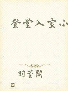 登堂入室小说