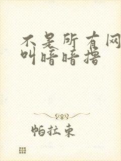 不是所有网站都叫暗暗撸