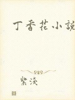 丁香花小说
