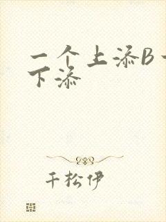 一个上添B一个下添