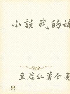 小说 我的娇妻