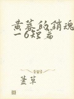 黄蓉的销魂夜1一6短篇