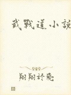 武战道小说