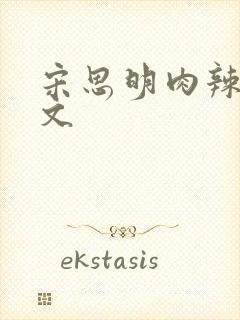 宋思明肉辣文h文