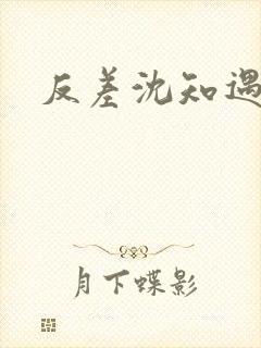 反差沈知遇晏应