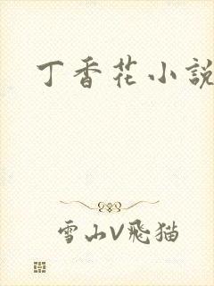 丁香花小说封面