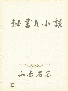 秘书h小说