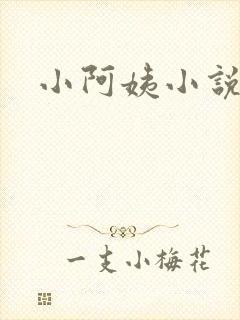 小阿姨小说