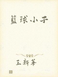 篮球小子