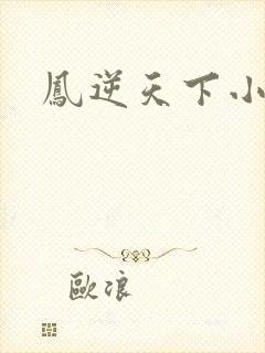 凤逆天下小说