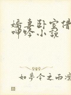 娇妻卧室借种的呻吟小说