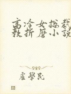 高冷女总裁被调教折磨小说封面