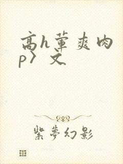 高h荤爽肉〈np〉文封面