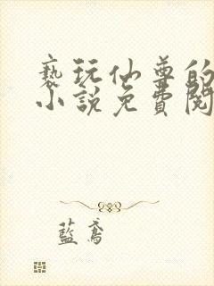 亵玩仙尊的道侣小说免费阅读