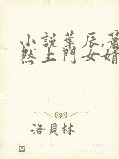 小说叶辰,萧初然上门女婿