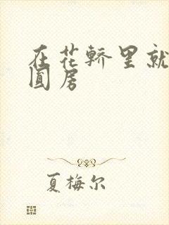 在花轿里就开始圆房