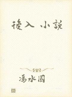 后入 小说