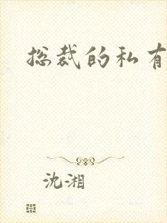 总裁的私有宝贝